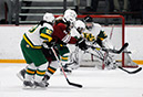 _DSC5239