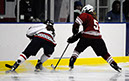 DEWH_0131