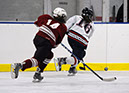 DEWH_0037
