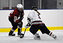 DEWH_0099