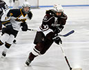 DEWH_0095