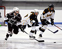 DEWH_0086