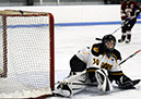 DEWH_0095