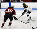 DEWH_0336