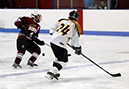 DEWH_0529