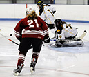 DEWH_0337