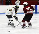 DEWH_0934