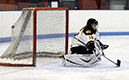 DEWH_0964