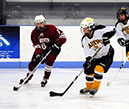 _DSC0712