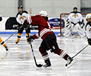 _DSC0981