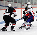 DEWH_0110